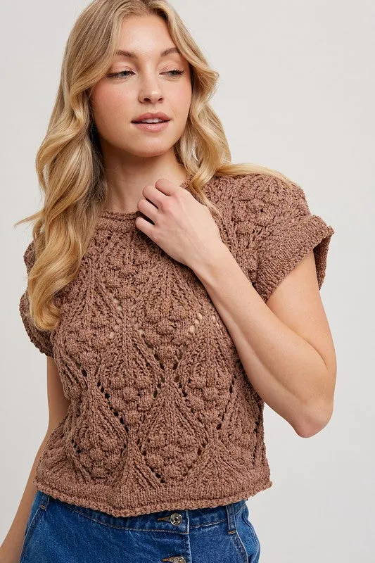 Annalise Short Sleeve Crochet Cropped Sweater Top Brown