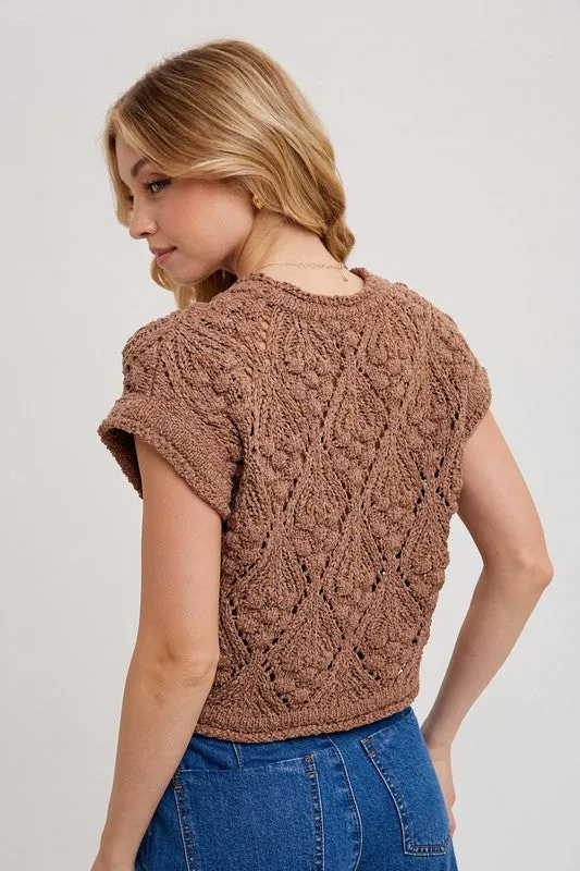 Annalise Short Sleeve Crochet Cropped Sweater Top Brown
